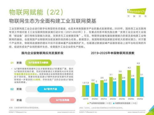2021年中國企業服務研究報告 社會經濟咨詢服務的現狀與前景